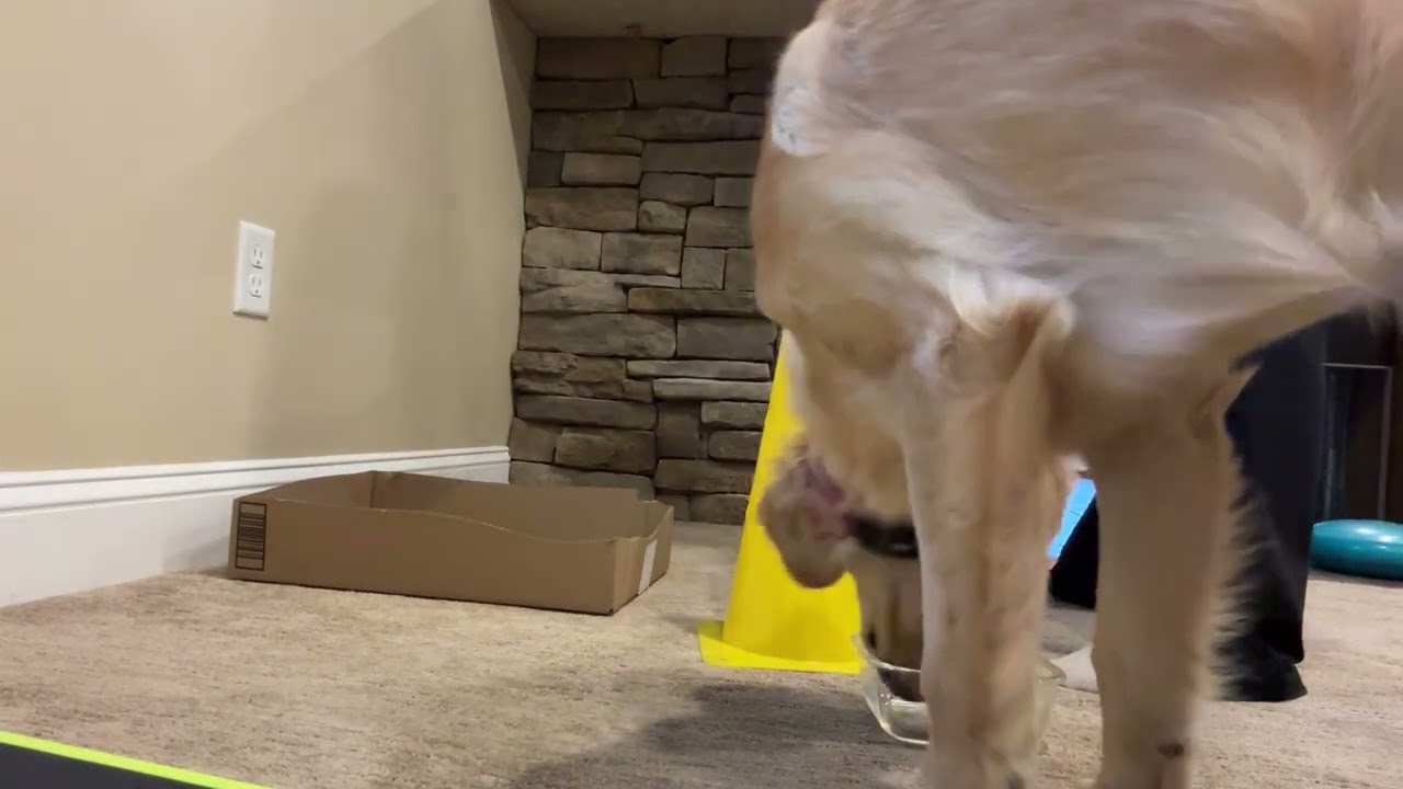 Box with flat blue targets