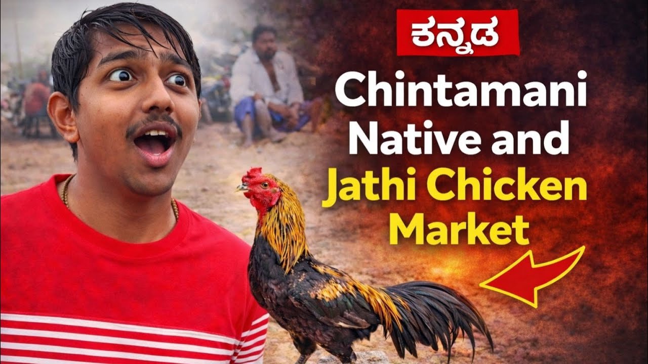 ಚಿಂತಾಮಣಿ ನಾಟಿ🦃ಮತ್ತು ಜಾತಿ🐥ಕೋಳಿ🐓ಸಂತೆ🐣Chintamani Nati & Jathi Koli Market🐣🐓🦃🦤
