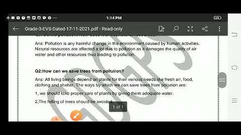 Grade 3 Evs Dated 17 11 2021