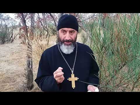 დეკანოზი გიორგი სხირტლაძე   აიღე ჯვარი და შეუდექ ქრისტეს