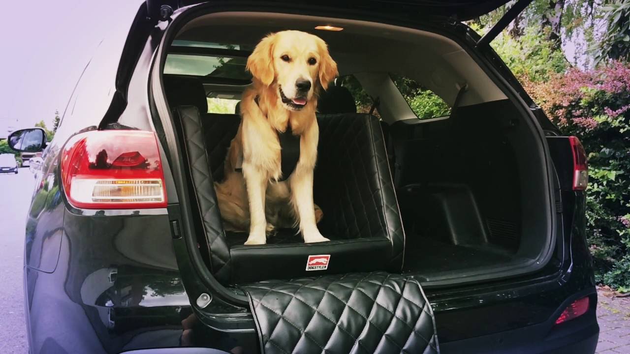 Zwei Hunde bequem im Kofferraum mit dem DOGSTYLER DOG AUTOBETT EXCELSIOR