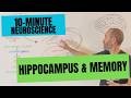 10-Minute Neuroscience: Hippocampus and Memory