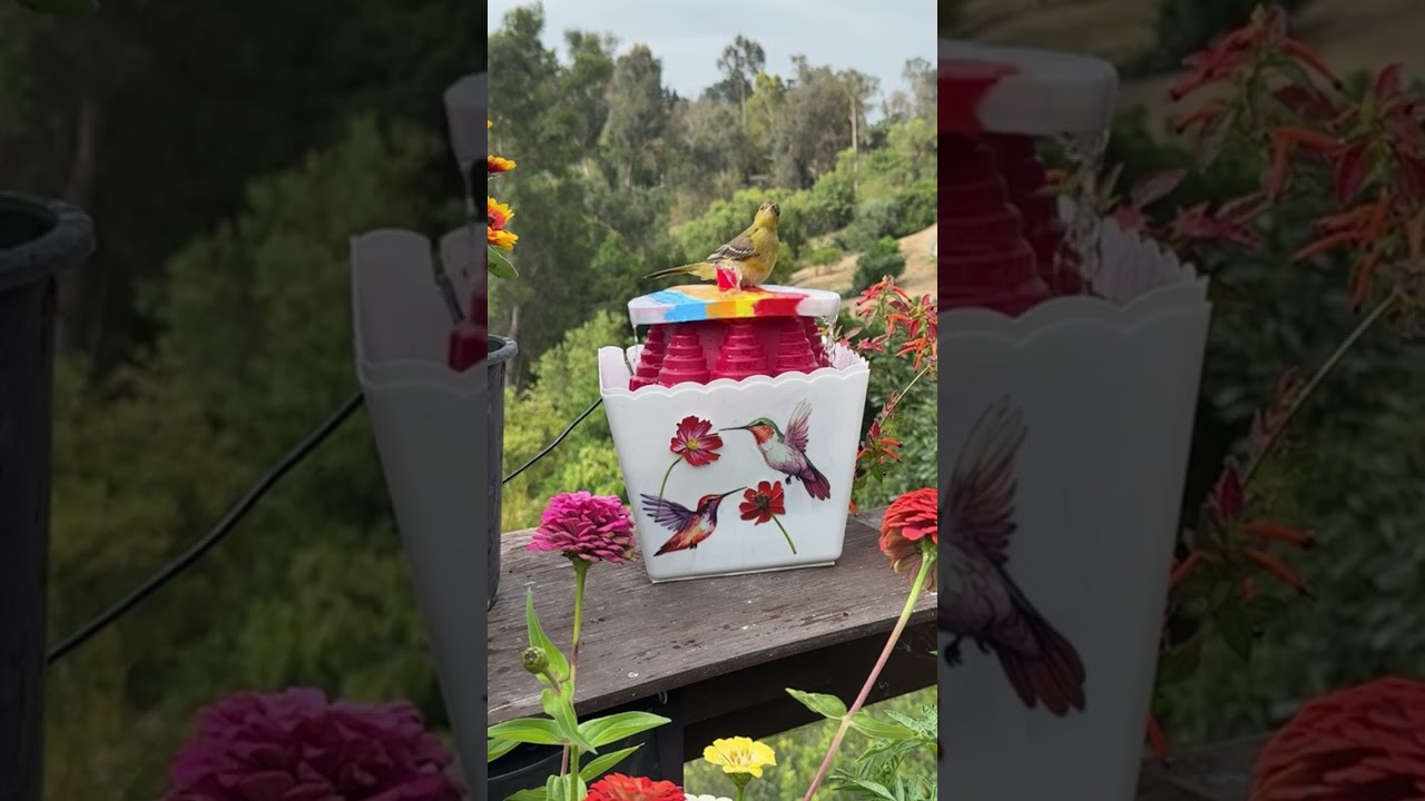 How to Decorate a Bird Bath for Christmas: Festive & Easy Ideas