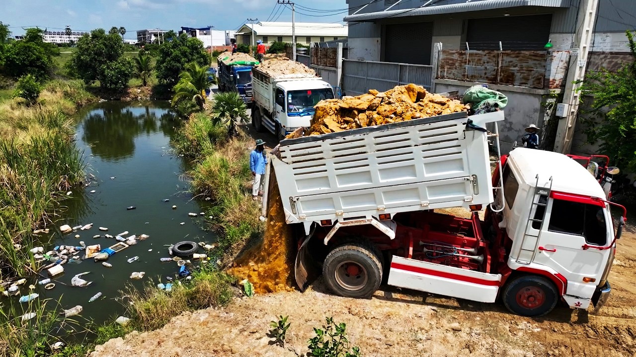 Processing New Amazing Project! Watch the Dump Truck and Dozer Filling Land Delete Flooded Area