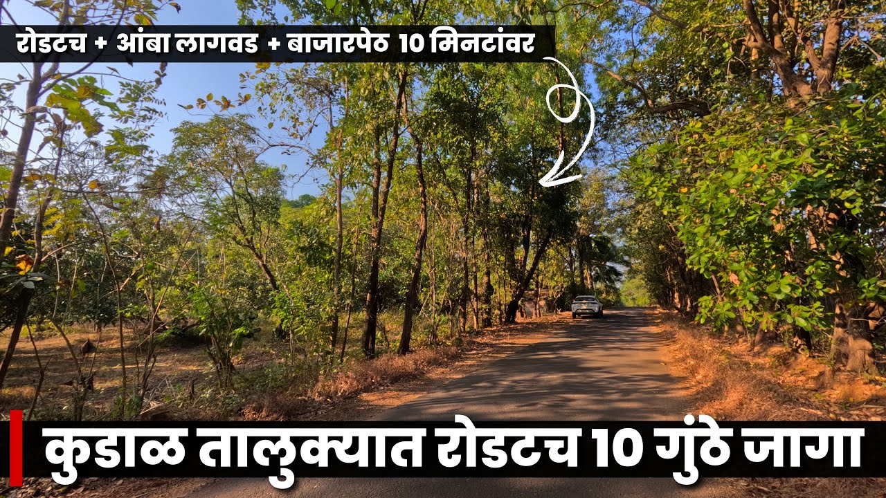 कुडाळ तालुक्यात रोडटच 10 गुंठे जागा | आंबा लागवड + बाजारपेठ 10 मिनिटांवर | P273