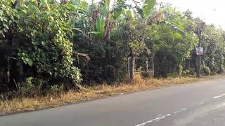 Telolet bojo ku ketikung