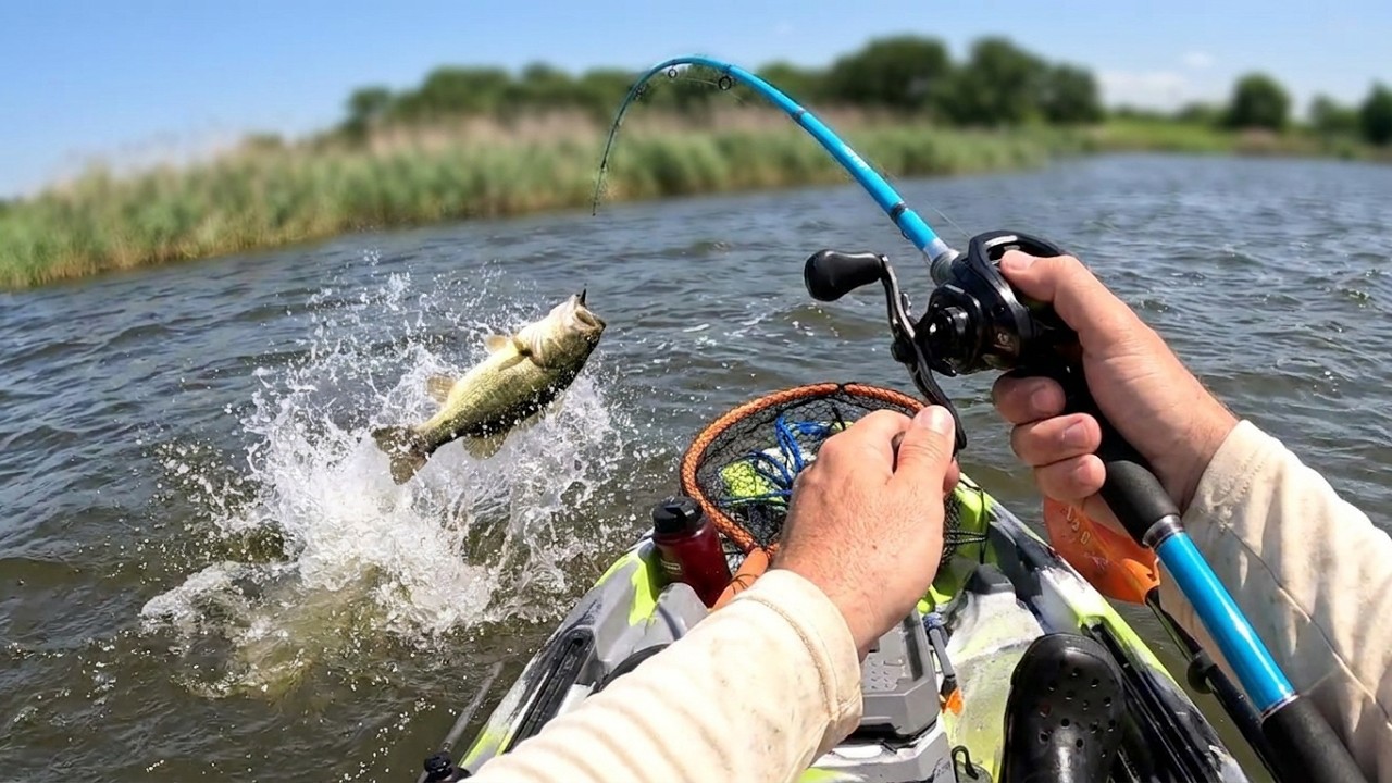 Is the wacky rig the GOAT? Big BASS in Crazy Kansas winds.