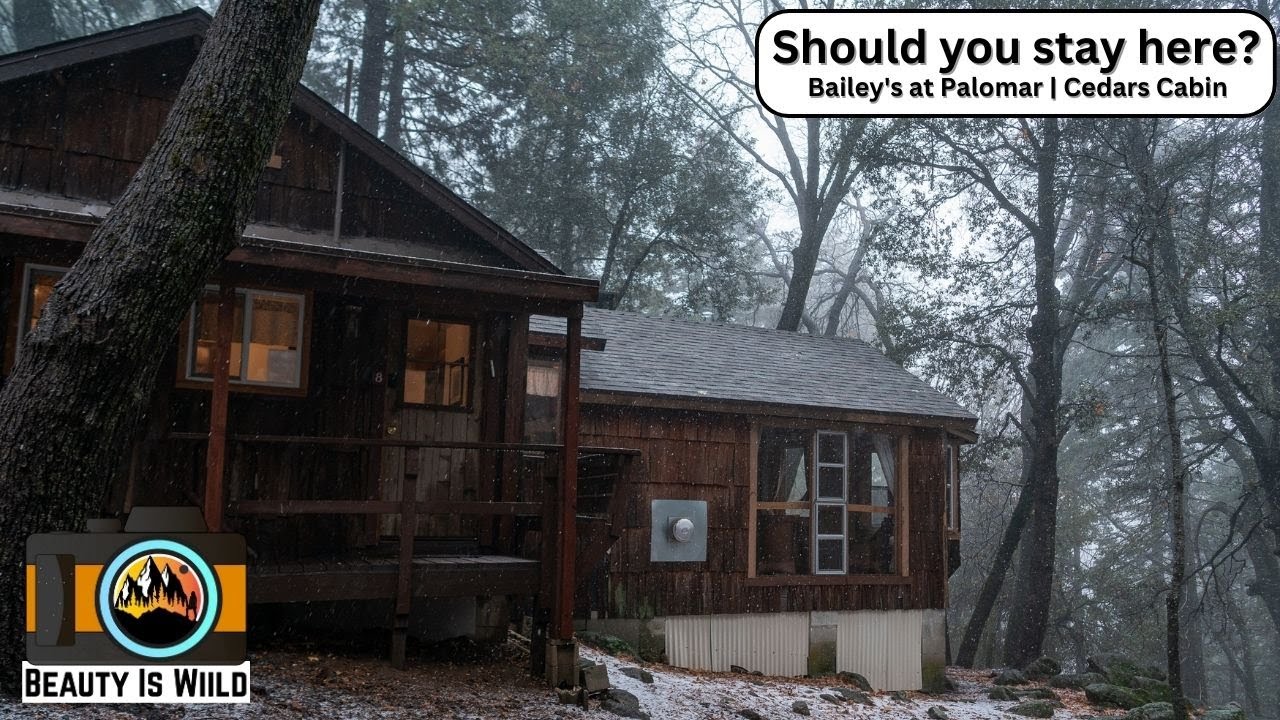 Bailey's at Palomar Mountain Cedars Cabin Review YouTube