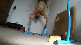 BEGINNER BODYWEIGHT CALISTHENICS S1210002