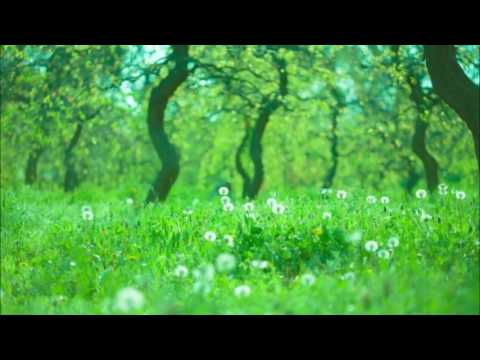 モーツァルト: ピアノ協奏曲第9番｢ジュノーム｣：第1楽章［ナクソス・クラシック・キュレーション #元気］