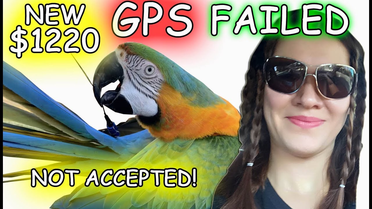 gps tracker for pet birds