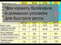 Чем кормить бройлеров в домашних условиях для быстрого роста