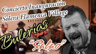 Salao Solera Flamenca Village Concierto De Inauguración Bulerías