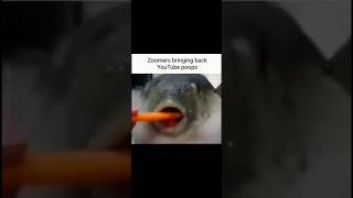Memes I found from discord part 60