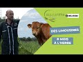 Salon de lagriculture de bordeaux  visite chez guillaume vandenberghe leveur de limousines