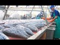 Tuna Processing After Harvest - Tuna Frozen, Cleaning, Cutting, Processing And Packing In Factory