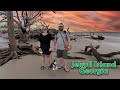 Georgia sea turtles and DRIFTWOOD BEACH/ a day on JEKYLL ISLAND!