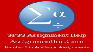 SPSS Assignment Help