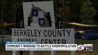 VIDEO: Berkeley Animal Center battles cat overpopulation with TNVR program