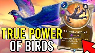 This Is The True Power Of Birds! | Legends of Runeterra