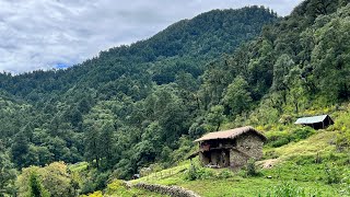 Poor but Very Happy Life in Nepali Mountain Highland || Very Peaceful and Relaxing Environment