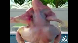 Ayam Kocak Joged Nungging