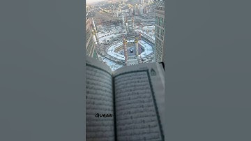 وما تأتيهم من آية من آيات ربهم إلا كانوا عنها معرضين اسلام صبحي تلاوة خاشعة ومؤثرة قران كريم 🤍🕌🕋🕊️🍁