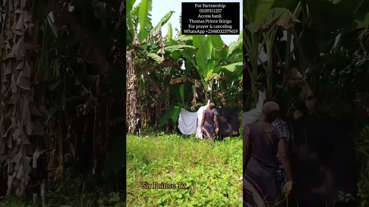 Her Husband has been restored from goat 🐐 to a man 🙏 @YouTubeViewers @Subcriber #views #walkinspirit