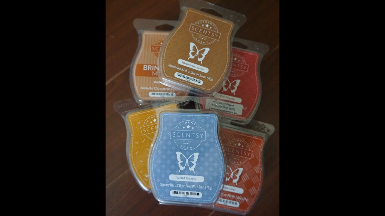 SCENTSY Wax Melts & Winners & Shoppers Drug Mart Goodies YouTube