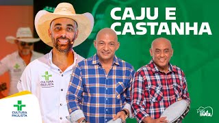 Programa Viola Brasil com Caju & Castanha