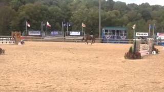 Desperado and Ava Stearns at Capital Challenge
