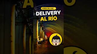 South Korea: in Seoul, food delivery reaches the river 🍗