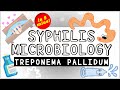 Syphilis (Treponema pallidum): Microbiology; All you need to know