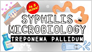 Syphilis (Treponema pallidum): Microbiology; All you need to know