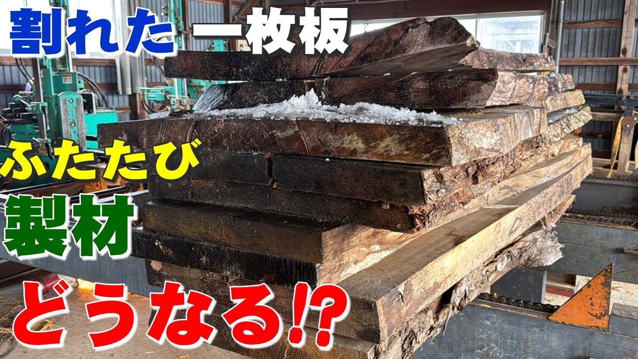 大きく反って割れたカエデ一枚板を再び製材する。