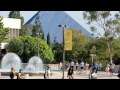 California state university long beach  5 things i wish i had known before attending