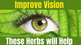 Can Herbs Really Improve Your Vision? Top EyeCare Herbs Revealed!