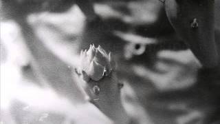 Deux - Empty Pages Ft.isabella Zabeta