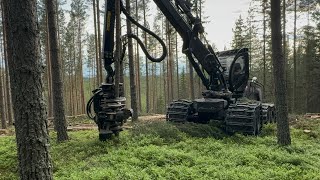 Logset 8H GTE/TH60 new delivery pt1/2