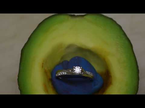 Avocado Proposal