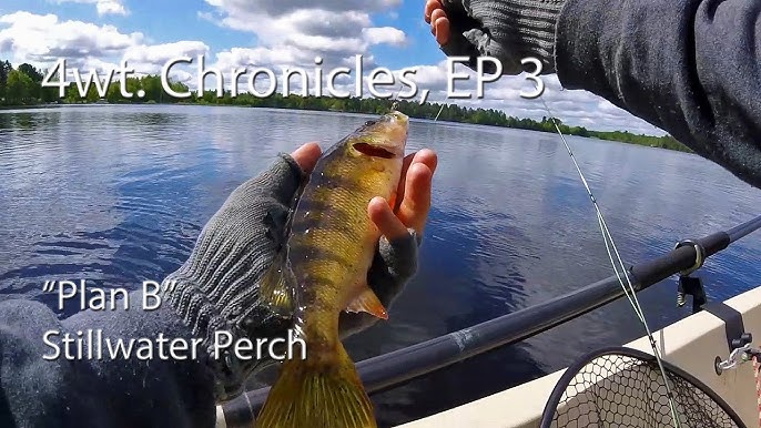 Fly Fishing: 4wt Chronicles, EP 1- Breaking in the New 4 wt, and Practicing  the Strip Set. 