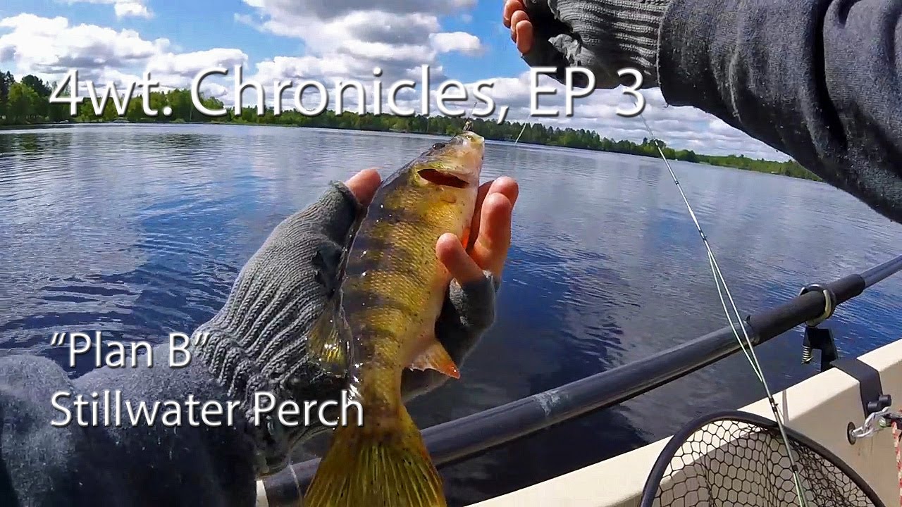 Fly Fishing: 4wt. Chronicles, EP 3 - "Plan B" Stillwater Perch