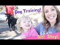 dog training