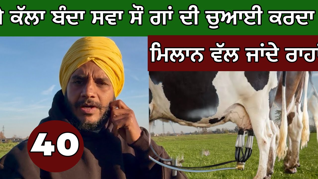 ⁣ਕੱਲਾ ਬੰਦਾ ਤੇ ਸਵਾ ਸੌ ਗਾਂ ਦੀਆਂ ਧਾਰਾਂ।  ਪ੍ਰਦੇਸ ‘ਚ ਗੁਰਪੁਰਬ। Cycling in Italy। Ghudda