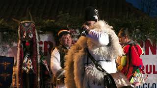 Ansamblul Floare de Colt  Ostra Suceava