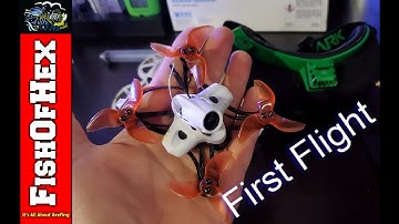 Tinyhawk 2 Race First Flight | Taking A Break From The Fish Room