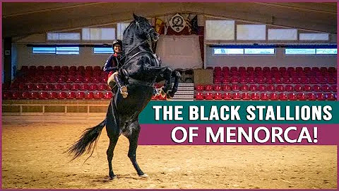 Riding the Menorquin Horse in Spain - DayDayNews