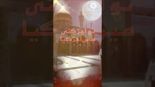 zainab rok na tun rahwar زینب سلام اللہ علیہ  روک نہ رھوار #shortvideo