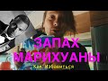 ЛАЙФХАК Как Избавится от Запаха МАРИХУАНЫ || Крис Браун постарался