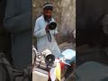 Pashto funny chicken song